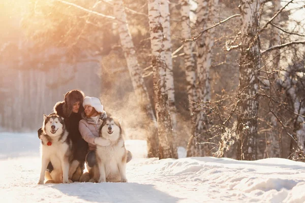 Camminare con il cane in inverno. coppia amorevole sta camminando nella neve — Foto Stock