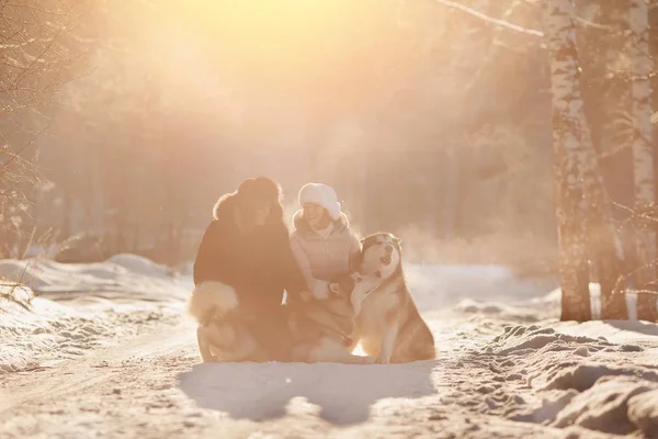 Pasear con un perro en invierno. Una pareja amorosa está caminando en la nieve con el perro. Luz solar — Foto de Stock