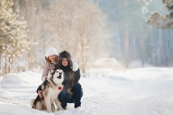 Procházky se psem v zimě — Stock fotografie
