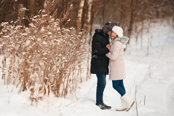 Camminare con il cane in inverno — Foto Stock