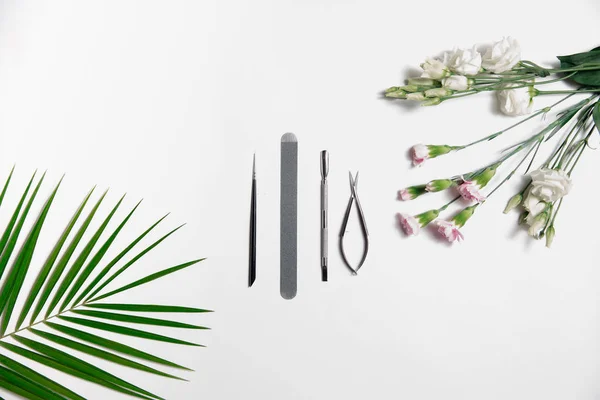 Steel gray manicure tools are on table in center of composition, next to palm green leaf and light pink flowers. — Stock Photo, Image
