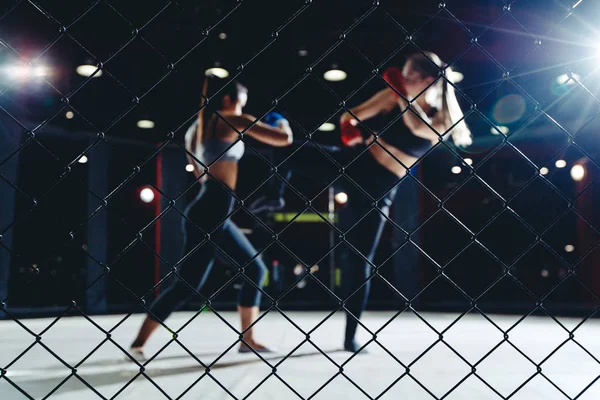 ММА Боротьба боксу Жінки — стокове фото