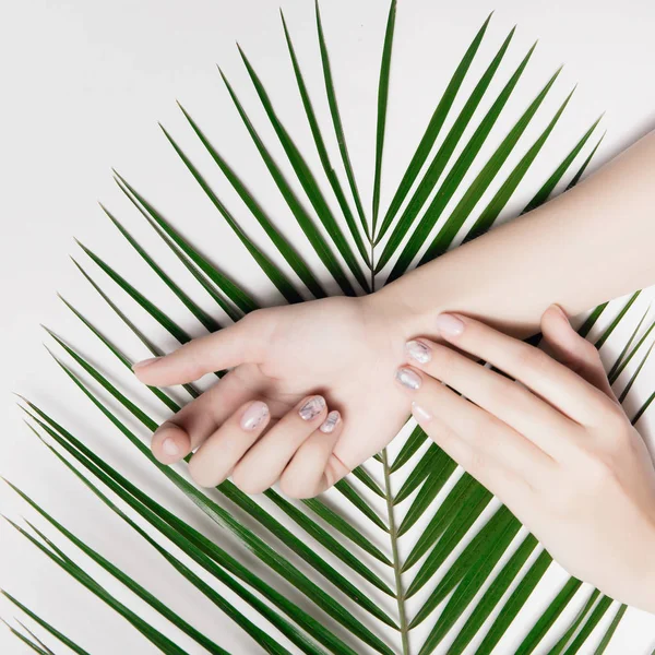 Beautiful female hands with manicure nude close up lying on big, fancy green palm leaf