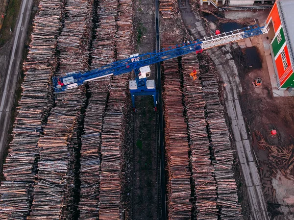Produção de serraria de processamento de madeira, guindastes — Fotografia de Stock