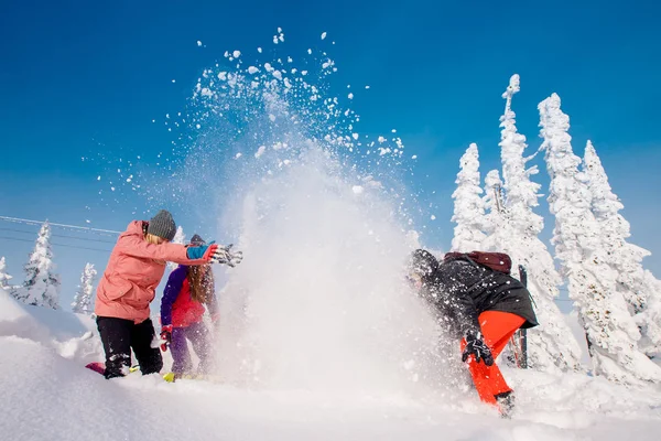 Група з Різдвом людей з лиж, сноубордів грати — стокове фото