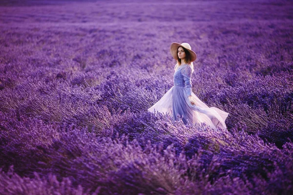 flowers lavender, France, Provence.