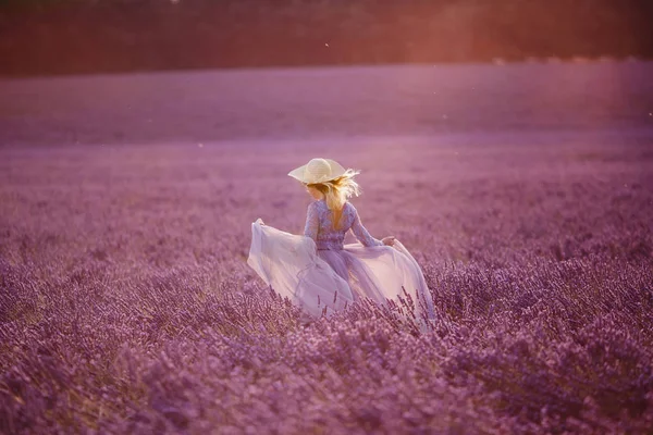 Květy levandule, Francie, Provence. — Stock fotografie