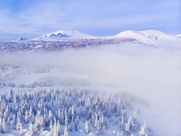 Sheregesh, Kemerovo, Russia, Aerial view drone mountains and forest, — Stock Photo, Image