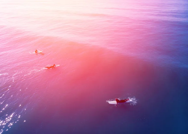El equipo de surfistas se prepara para montar olas grandes a bordo, agua azul, verano — Foto de Stock