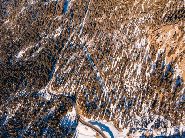 Vue aérienne du dessus arrière-plan épais forêt d'épinettes d'hiver — Photo