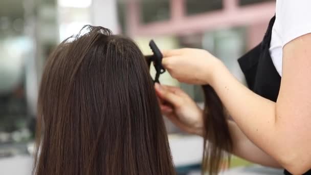 Cuidado del cabello enfermo, cortado y saludable alisado. Antes y después del tratamiento — Vídeos de Stock