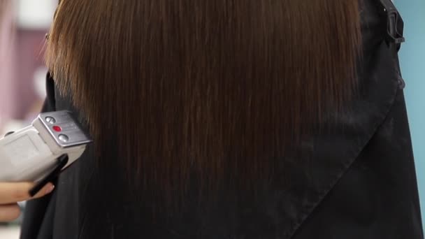 Salão de cabeleireiro Restauração da estrutura do cabelo, recorte de dicas danificadas — Vídeo de Stock