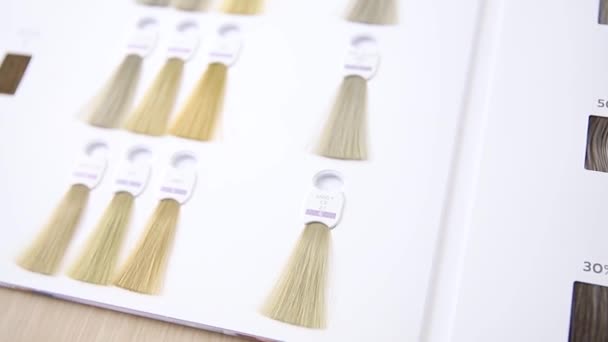 Paleta con variaciones de color de pelo. Opciones de tono colorido — Vídeo de stock