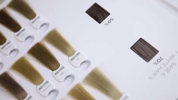 Paletta variációi haja színe. Színes tónusbeállítások — Stock videók
