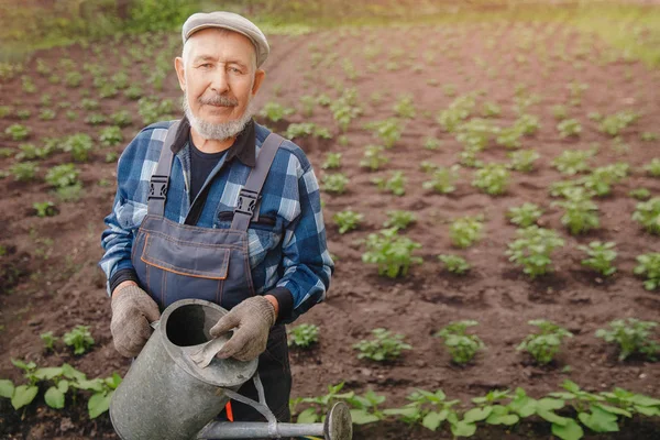 年长有灰胡子的老人正在菜园里浇灌水罐 — 图库照片