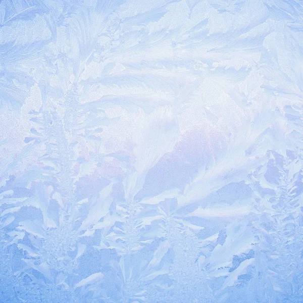Desenho da geada no vidro da janela, ornamento do floco de neve após o frio do gelo da anomalia — Fotografia de Stock