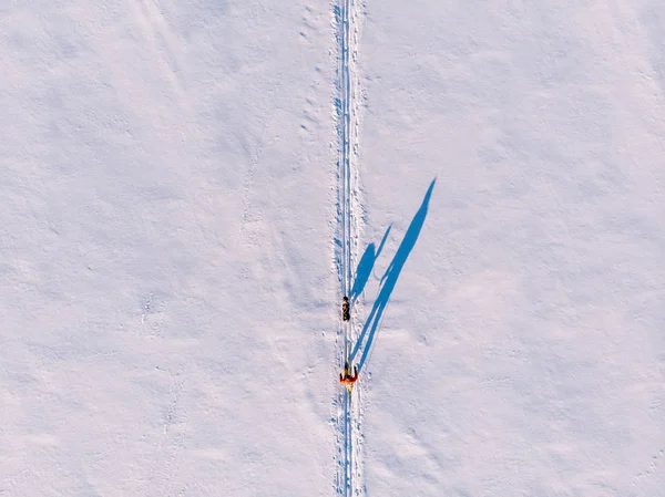 Skijor esqui na pista com malamute cão. Conceito férias de inverno. Vista aérea superior — Fotografia de Stock