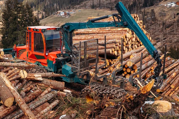Woodcutter log truck tree harvester working in forest. Concept industry cut wood