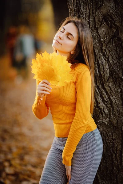 Pensive genç kadın Kanada akçaağaç sonbahar sarı yaprakları buket tutar. parkta bir değer. Güneş ışığı — Stok fotoğraf