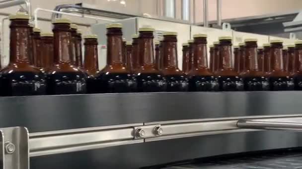 Automatic conveyor row of glass brown bottles moving — Stock Video