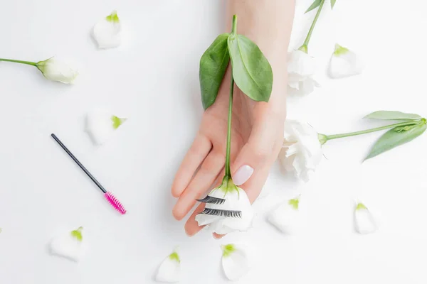 Hands girl master eyelash extension on white flowers background with pink brush, top view. Beauty concept