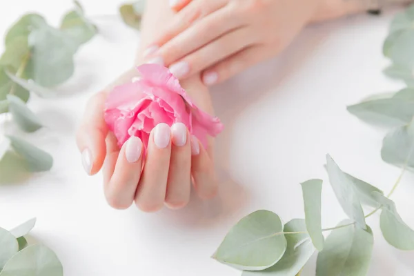 Elegante simples mão feminina manicure gel polonês no fundo branco com flor, vista superior. Conceito cuidado natural da pele orgânica — Fotografia de Stock