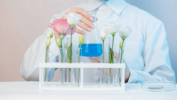 Natural organic extraction flower aroma essence solution with scientist in lab. Biotechnology concept — Stock Photo, Image