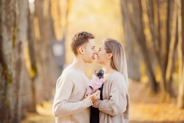 Autunno foto, coppia innamorata abbraccia e tiene cane nano su sfondo di foglie gialle, l'uomo mostra la sua lingua. Concetto Childfree — Foto Stock