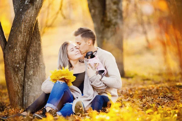 Liebespaar sitzt mit kleinem Hund im Herbstpark und küsst sich. Mädchen hält Ahornblätter, gelber Hintergrund. Konzept kinderfrei — Stockfoto