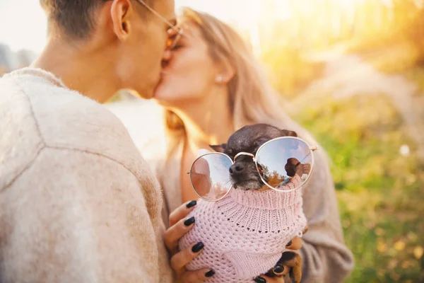 Liebendes Paar hält kleinen Terrier-Hund in runde Sonnenbrille, umarmt und küsst sich vor herbstlicher Kulisse — Stockfoto