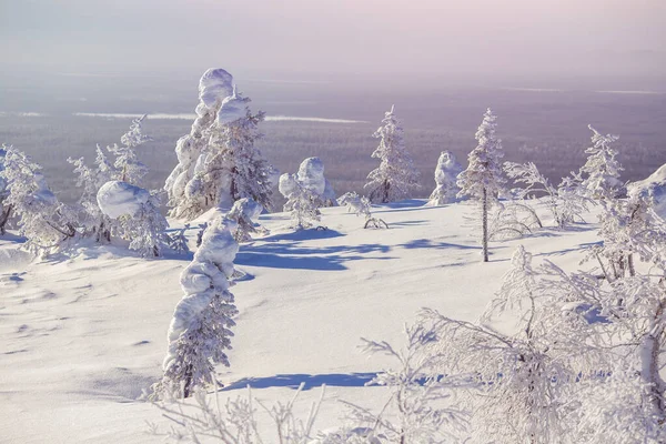 Schöne Winterlandschaft Neuschnee, strahlend blauer Himmel mit Wolken und Sonne. seltene Bäume im Hintergrund der Berge — Stockfoto