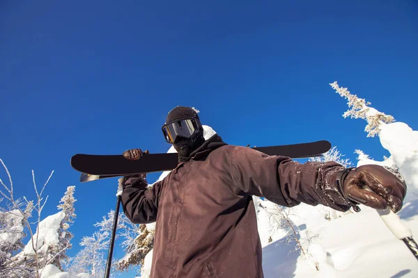 Skier in suit mask stands in hands with skis on background blue sky and forest, lowest point of shooting — Stock Photo, Image