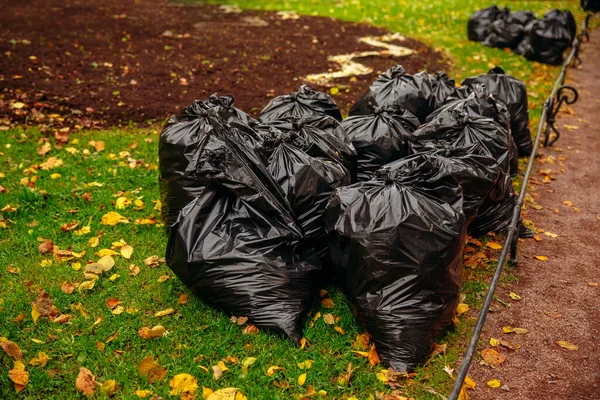 Two biodegradable trash bags full of yellow leaves on green grass