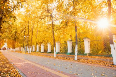Tomsk, Rusya - 25 Eylül 2019: Sarı yapraklı Lenin Caddesi 'nin sonbahar manzarası