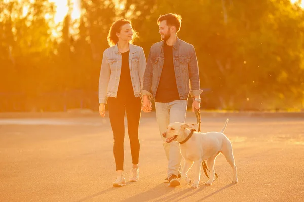 Glückliches junges Paar Mann und Frau mit Hund Retriever Labrador Gassi gehen bei Sonnenuntergang — Stockfoto