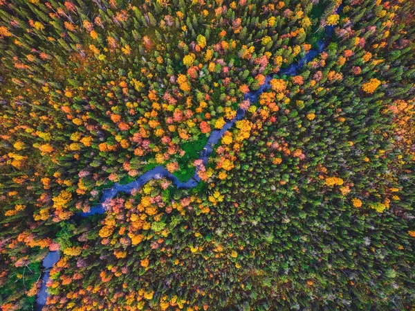 Río fluye a través del bosque de otoño con árboles amarillos y rojos, vista aérea — Foto de Stock