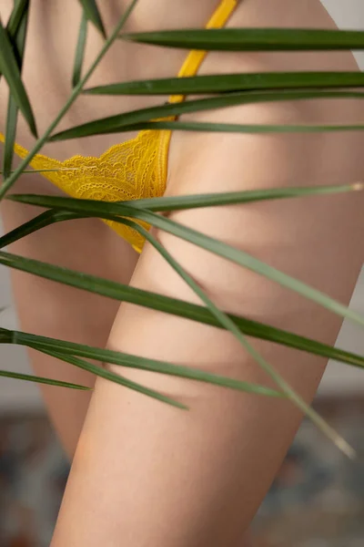 Hermosa mujer joven en ropa interior amarilla con hojas de palma de encaje, fondo natural proyecta sombra textural sobre la piel limpia —  Fotos de Stock