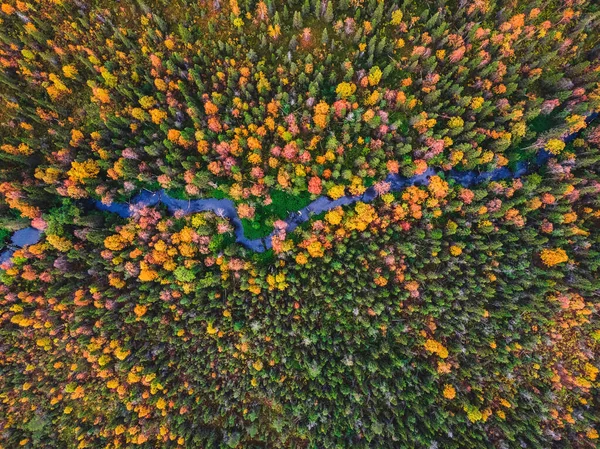 Herbstwald mit gelben und roten Bäumen und blauer Flussluftaufnahme — Stockfoto