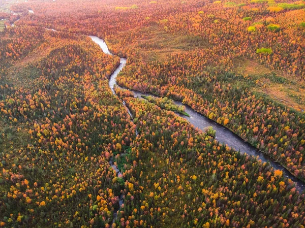 Pôr do sol floresta outono com árvores amarelas e vermelhas e vista aérea do rio azul — Fotografia de Stock