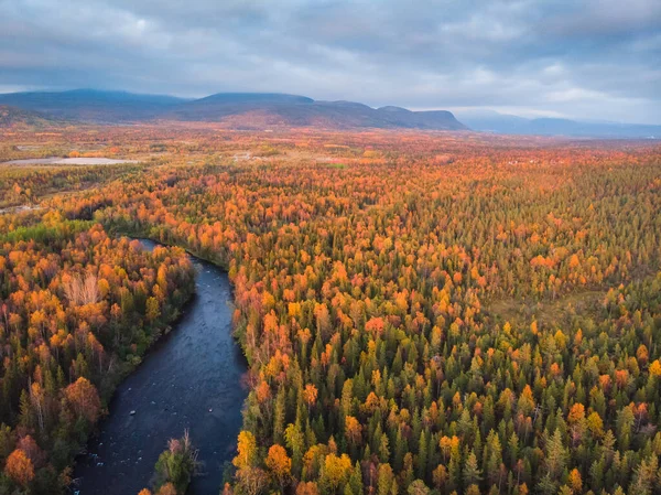 黄色と赤の木々、青い山の川、空中のトップビューの美しい秋の森 — ストック写真