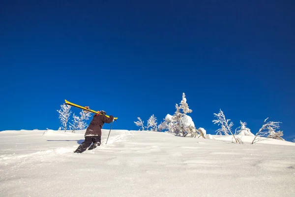 Man skiër klimt bergop voor freeride verse sneeuw op zonnige winterdag — Stockfoto