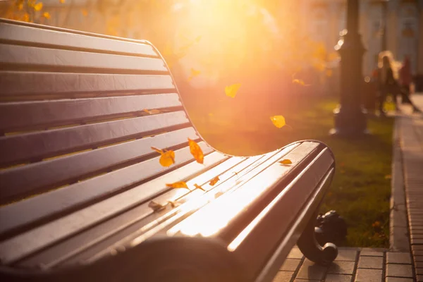 El follaje otoñal en el banco en el parque otoñal, la luz solar y el viento recogen las hojas amarillas. Temporada de cambio de concepto —  Fotos de Stock