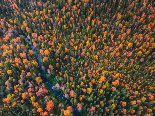 Río fluye a través del bosque de otoño con árboles amarillos y rojos, vista aérea — Foto de Stock