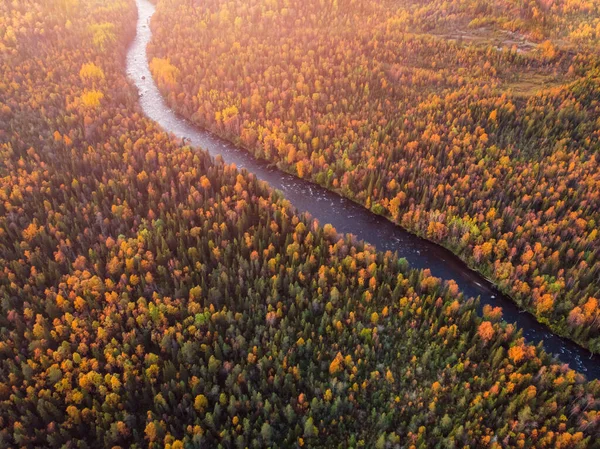 Bela floresta de outono com árvores amarelas e vermelhas, pôr do sol azul do rio da montanha, vista aérea superior — Fotografia de Stock