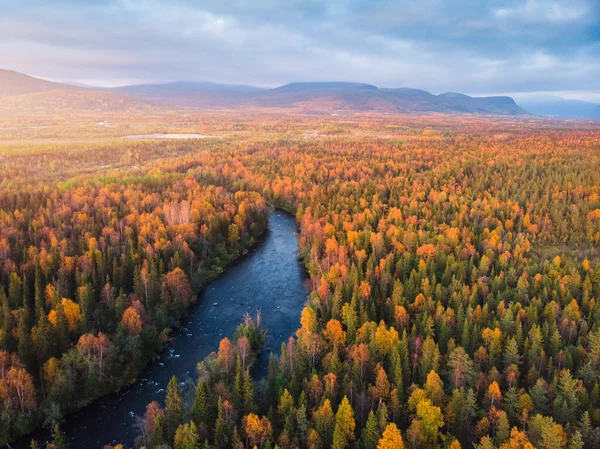 Bosque otoñal con árboles amarillos y rojos y vista aérea del río azul — Foto de Stock