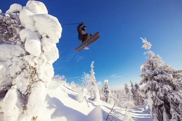 Skiër sprong in de bergen tegen de achtergrond bos. Extreem sportconcept — Stockfoto