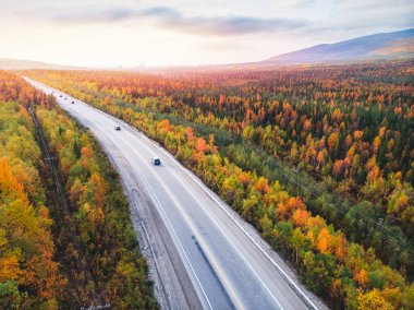 Orman sonbahar yolu arabalarla günbatımı kırmızı, sarı ağaçlar Rusya, hava manzarası.