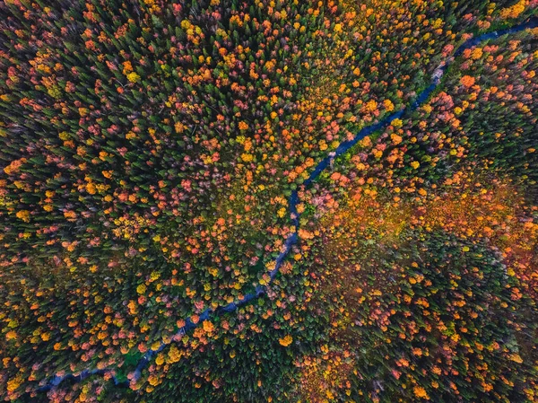 Floresta de outono com árvores amarelas e vermelhas e vista aérea azul do rio — Fotografia de Stock