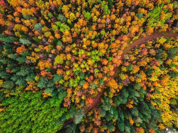 Bovenaanzicht vanuit de lucht prachtig herfstbos met gele en rode bomen — Stockfoto