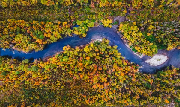 Herbstwald mit gelben und roten Bäumen und blauer Flussluftaufnahme — Stockfoto